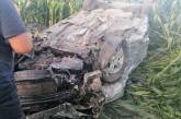 В Киевской области столкнулись Nissan и Skoda: погиб годовалый ребенок