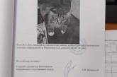 В РФ кота официально опросили как свидетеля по уголовному делу