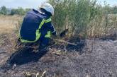 В Николаеве сотрудники ГСЧС спасли щенка, едва не сгоревшего при пожаре