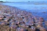 Туристы жалуются на интоксикацию после укусов медуз на Азовском море