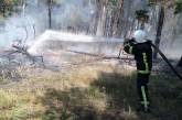 В Николаеве горел Балабановский лес