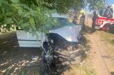 В Николаевской области «Фольксваген» врезался в дерево: водитель погиб на месте
