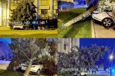 В Одессе под ОГА голубая ель упала на припаркованный с нарушениями Range Rover