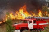 В Николаевской области объявлен чрезвычайный уровень пожарной опасности