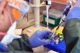 Ученые сообщили о новом южноафриканском опасном штамме коронавируса