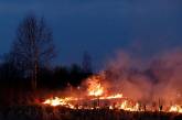 В Николаевской области за сутки выгорело 18 га территорий   
