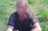 Под Запорожьем пьяный водитель сбил полицейского, проехал с ним на капоте и врезался в дерево (видео)