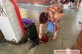  Полицейские установили личность мужчины, застрелившего собаку на рынке в Николаеве — его разыскивают