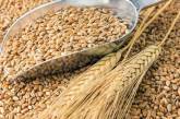 В Николаевской области сотрудница госпредприятия помогла преступникам украсть 158 тонн зерна