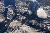В Сумской области на поле произошел разлив нефти