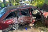 В Киевской области пьяный водитель врезался в дерево: погибла пассажирка 