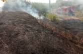 В Николаевской области за сутки из-за поджогов выгорело 29 га сухостоя и деревьев