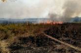 В Николаевской области выгорели более 53 га открытых территорий
