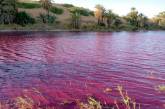 Вода возле Мертвого моря окрасилась в кроваво-красный цвет