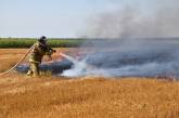 В Николаевской области за сутки выгорели 19 га открытых территорий