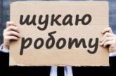 Власти хотят решить проблему трудоустройства безработных – готовят «плюшки» и работодателям