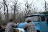 В Николаевской области «лесорубы» незаконно спилили 200 деревьев: организатору «светит» до 7 лет тюрьмы                           