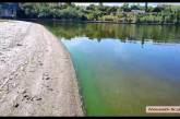 В Николаеве в реке Южный Буг зацвела вода (видео)