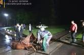Под Волынью ради спасения коня пришлось остановить поезд
