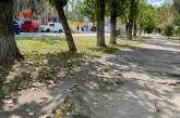 Для обустройства первой в Николаеве велосипедной дорожки срубят 67 деревьев   