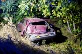 В Николаевской области «ВАЗ» съехал в кювет и врезался в дерево: водителя деблокировали