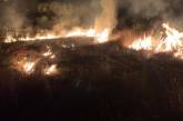 В Николаевской области выгорело более 4,5 га территории