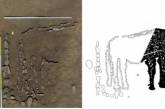 В Южной Сибири обнаружили огромное изображение быка которому тысячи лет