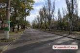 На главном проспекте Николаева хотят снести большие тополя, мешающие обзору