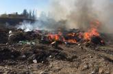 В Николаевской области за сутки выгорело более 20 га открытых территорий
