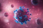 Ученые доказали неэффективность еще одного препарата в лечении коронавируса