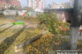 В кременчугском садике на детей рухнуло кронованное дерево: 4-летняя девочка в коме