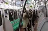 Житель Токио поджег вагон метро и ранил 15 пассажиров