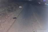 В Николаевской области водитель сбил мальчика и скрылся с места ДТП