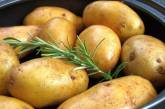 Украина держит самые низкие цены на картофель в Восточной Европе