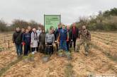 Под Николаевом силовики высадили в Харчатовском лесу 4 тысячи саженцев