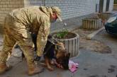 В мусорном баке у многоэтажки в Мелитополе нашли мертвого младенца