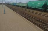 Под Киевом скоростной поезд насмерть сбил женщину