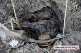 В Николаеве на берегу реки обнаружили гранату с запалом