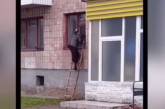 В Луцке женщина выходит из квартиры через окно, потому что боится сатаны (видео)