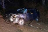 В Николаевской области ВАЗ слетел в кювет и перевернулся — погиб водитель