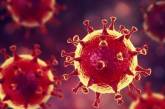 Украинские биологи выявили 11 разных вариантов штамма коронавируса «Дельта»