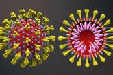 Ученые выявили, что коронавирус может изменить восприятие боли
