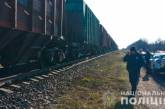 В Николаевской области под колесами поезда погиб пенсионер