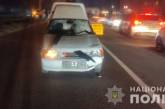 На Днепропетровщине водитель сбил четырех пешеходов: погибли маленький ребенок и его мать