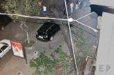 В центре Одессы старое дерево раздавило автомобиль. ФОТО