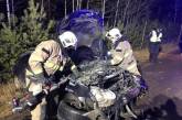 В Ровенской области из-за лося разбились два автомобиля