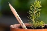 В Дании новогодние елки решили выращивать из карандашей