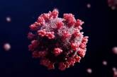 Ученые выяснили, что штамм «омикрон» повышает риск повторного заражения COVID-19