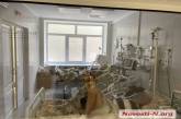 Количество заболевших снижается: в Николаевской области 278 «ковидных» пациентов, 8 умерших