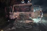 В Николаевской области на трассе загорелся грузовик